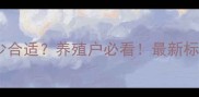 鸡饲料油脂含量多少合适养殖户必看最新标准及科学配比指南