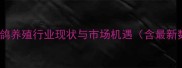 武汉肉鸽养殖行业现状与市场机遇含最新数据