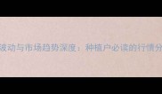 商丘大豆价格波动与市场趋势深度种植户必读的行情分析与应对策略