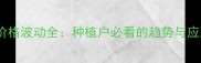 大米麦价格波动全种植户必看的趋势与应对策略