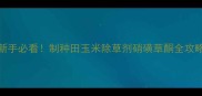 新手必看制种田玉米除草剂硝磺草酮全攻略