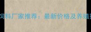 南宁牛羊饲料厂家推荐最新价格及养殖技术指南