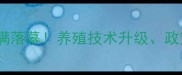 广西饲料行业峰会圆满落幕养殖技术升级政策解读与市场趋势全