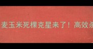 农药滴根死小麦玉米死棵克星来了高效杀菌方案大公开