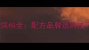 高效猪浓缩饲料全配方品牌选购技巧增重数据