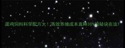 蛋鸡饲料科学配方大高效养殖成本直降30的秘诀在这