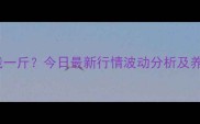白鸭价格多少钱一斤今日最新行情波动分析及养殖户应对策略