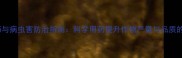 农药使用技巧与病虫害防治指南科学用药提升作物产量与品质的6大关键步骤