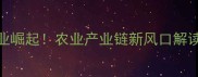 河南农药中间体产业崛起农业产业链新风口解读附产业链地图