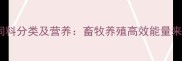 膨化大豆饲料分类及营养畜牧养殖高效能量来源全指南