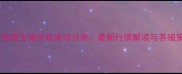 临沂莒南生猪价格波动分析最新行情解读与养殖策略