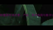 中国肉鸡饲料集团市场全景产能竞争格局与数字化转型路径