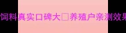 河北英伟饲料真实口碑大养殖户亲测效果如何