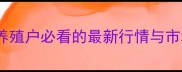 北京市生猪价格实时动态养殖户必看的最新行情与市场分析附地区价差对比