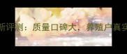 河南彩虹饲料最新评测质量口碑大养殖户真实评价及选购指南