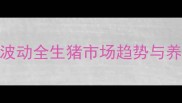 邳州大猪价格波动全生猪市场趋势与养殖户应对指南