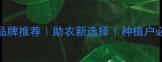 印尼有机农药品牌推荐助农新选择种植户必看种植技术攻略