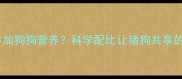 猪饲料配方加狗狗营养科学配比让猪狗共享的可行性