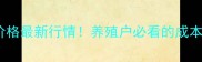 山东地区毛猪价格最新行情养殖户必看的成本与市场趋势全
