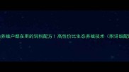 安徽黄山养殖户都在用的饲料配方高性价比生态养殖技术附详细配比表