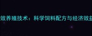 临沂长毛兔高效养殖技术科学饲料配方与经济效益双提升指南