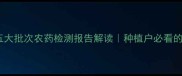 农药安全指南五大批次农药检测报告解读种植户必看的减量增效方案