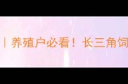 江苏浙江饲料产业全景报告养殖户必看长三角饲料公司技术升级与政策扶持全