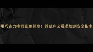 饲料用巧克力掺假乱象频发养殖户必看添加剂安全指南