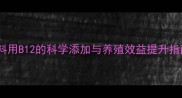 饲料用B12的科学添加与养殖效益提升指南