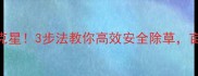 水稻田青苔克星3步法教你高效安全除草亩产提升20