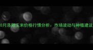 10月洛阳玉米价格行情分析市场波动与种植建议