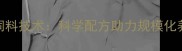 山东诸城大牧场饲料技术科学配方助力规模化养殖年增效益30
