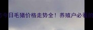 生猪市场实时动态今日毛猪价格走势全养殖户必看的5大趋势与避坑指南
