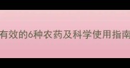 菜虫防治全攻略最有效的6种农药及科学使用指南附安全用药手册