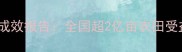 农药科学发放政策落地成效报告全国超2亿亩农田受益的农业科技支撑实践