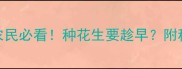 花生价格走势全农民必看种花生要趁早附种植技巧行情预测