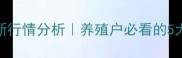 焦作生猪价格最新行情分析养殖户必看的5大趋势与应对策略