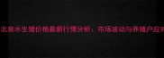 钦州浦北泉水生猪价格最新行情分析市场波动与养殖户应对策略