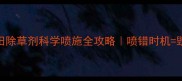 花生田除草剂科学喷施全攻略喷错时机毁一季