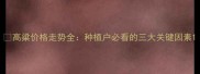 高粱价格走势全种植户必看的三大关键因素