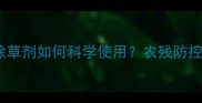 大白菜和甘蓝苗后除草剂如何科学使用农残防控与增产增收全攻略