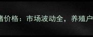 217生猪价格市场波动全养殖户必看