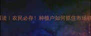 豆油价格最新行情解读农民必存种植户如何抓住市场机遇附全年趋势预测