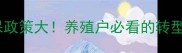 饲料环保政策大养殖户必看的转型指南