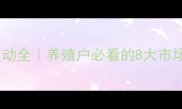 河南今日毛猪价格波动全养殖户必看的8大市场趋势附最新数据