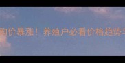 广东鲳鱼收购价暴涨养殖户必看价格趋势与养殖攻略