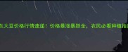 山东大豆价格行情速递价格暴涨暴跌全农民必看种植指南