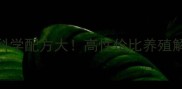 江西进贤大台农饲料科学配方大高性价比养殖解决方案提升30效益