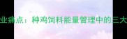 行业痛点种鸡饲料能量管理中的三大误区