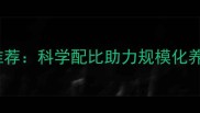 贵州优质兔饲料推荐科学配比助力规模化养殖降本增效指南